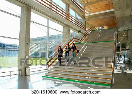 Lecture stairs, Ignacio Maria Barriola Building, Gipuzkoa Campus, UPV, EHU, Basque Country University, Donostia, San Sebastian, Gipuzkoa, Spain View Large Photo Image Stock Image - Lecture stairs, Ignacio Maria Barriola Building, Gipuzkoa Campus, UPV, EHU, Basque Country University, Donostia, San Sebastian, Gipuzkoa, Spain. Fotosearch
