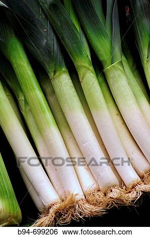 Leek. Market of? Sant Josep? or? La Boquer? a?. Barcelona. Spain. View Large Photo Image Stock Photograph - Leek. Market of? Sant Josep? or? La Boquer? a?. Barcelona. Spain.. Fotosearch