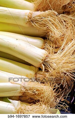 Stock Photo - Leeks La Boqueria market, Barcelona, Catalonia, Spain. Fotosearch