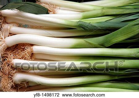 Leeks View Large Photo Image Stock Image - Leeks. Fotosearch