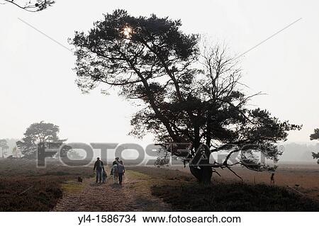Leersumse veld, The Netherlands View Large Photo Image Picture - Leersumse veld, The Netherlands. Fotosearch
