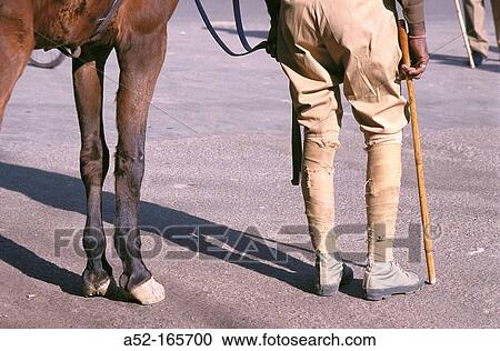 Legs of horse and man View Large Photo Image Stock Image - Legs of horse and man. Fotosearch