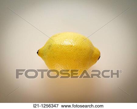 Lemon on a gray background. View Large Photo Image Stock Photo - Lemon on a gray background.. Fotosearch