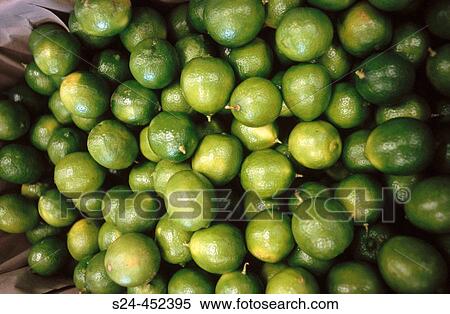 Stock Photography - Lemons, Ticoman, Colima, Mexico. Fotosearch
