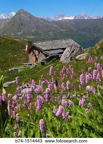 les chalets d? amont, valsorey, valais, swiss View Large Photo Image Stock Image - les chalets d? amont, valsorey, valais, swiss. Fotosearch