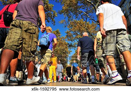 Les Rambles, Las Ramblas, Barcelona, Catalunya, Espaa. View Large Photo Image Stock Photography - Les Rambles, Las Ramblas, Barcelona, Catalunya, Espaa.. Fotosearch