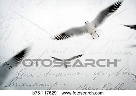 Stock Image - Letter, birds. Fotosearch
