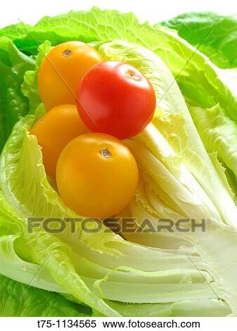 Lettuce and Cherry tomatoes View Large Photo Image Stock Photography - Lettuce and Cherry tomatoes. Fotosearch