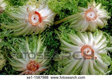Stock Photo - lettuce, market.. Fotosearch