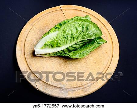 Lettuce on a wooden board View Large Photo Image Stock Photo - Lettuce on a wooden board. Fotosearch