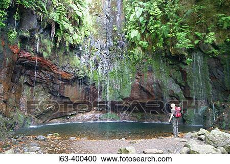 Levada das 25 fontes (25 fountains waterfall). Madeira Natural Park. Raba? al. Madeira island. Portugal. View Large Photo Image Stock Image - Levada das 25 fontes (25 fountains waterfall). Madeira Natural Park. Raba? al. Madeira island. Portugal.. Fotosearch