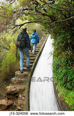 Levada do Alecrim near Rabacal. Madeira Island. Portugal View Large Photo Image Stock Photograph - Levada do Alecrim near Rabacal. Madeira Island. Portugal. Fotosearch