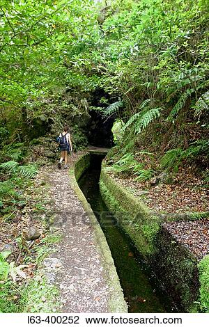 Levada do Norte (irrigation canal). Boca da Encumeada. Folhadal. Madeira. Portugal. View Large Photo Image Stock Image - Levada do Norte (irrigation canal). Boca da Encumeada. Folhadal. Madeira. Portugal.. Fotosearch