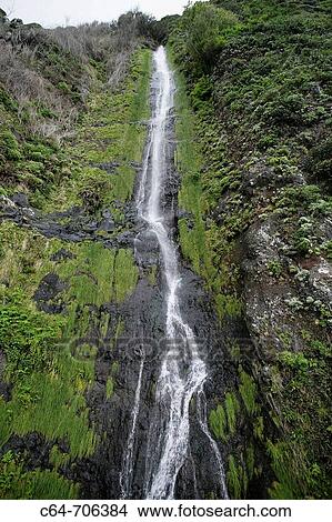 ? Levada? walk. Laurisilva subtropical rain forest. Madeira National Park. Madeira. Portugal View Large Photo Image Picture - ? Levada? walk. Laurisilva subtropical rain forest. Madeira National Park. Madeira. Portugal. Fotosearch
