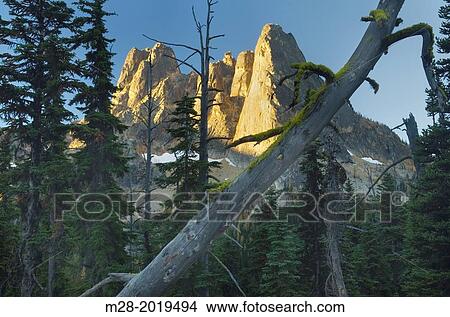 Liberty Bell Mountain at sunrise from Washington Pass, North Cascades Washington. View Large Photo Image Picture - Liberty Bell Mountain at sunrise from Washington Pass, North Cascades Washington.. Fotosearch