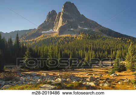 Stock Photograph - Liberty Bell Mountain at sunrise from meadows of Washington Pass, North Cascades Washington.. Fotosearch