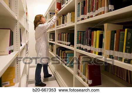 Library. Neiker Tecnalia, Instituto de Investigaci? n y Desarrollo Agrario, Ganadero, Forestal y del Medio Natural, Arkaute, Alava, Euskadi, Spain. View Large Photo Image Stock Image - Library. Neiker Tecnalia, Instituto de Investigaci? n y Desarrollo Agrario, Ganadero, Forestal y del Medio Natural, Arkaute, Alava, Euskadi, Spain.. Fotosearch
