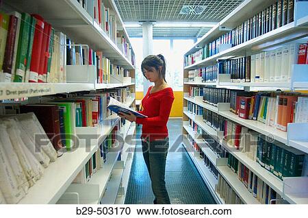 Library. View Large Photo Image Stock Image - Library.. Fotosearch