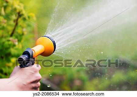 Lifestyle summer scene. Watering garden plants with sprinkler. View Large Photo Image Picture - Lifestyle summer scene. Watering garden plants with sprinkler.. Fotosearch