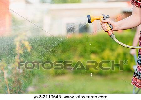 Lifestyle summer scene. Woman watering garden plants with sprinkler. View Large Photo Image Stock Photo - Lifestyle summer scene. Woman watering garden plants with sprinkler.. Fotosearch