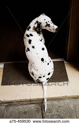 Stock Image - Lifestyles. Fotosearch