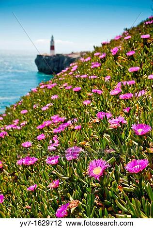 Lighthouse at Punta Europa Gibraltar View Large Photo Image Stock Image - Lighthouse at Punta Europa Gibraltar. Fotosearch