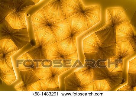 lights on the ceiling in the interior of the Fairmont Pacific Rim Hotel in downtown Vancouver, BC, Canada View Large Photo Image Stock Image - lights on the ceiling in the interior of the Fairmont Pacific Rim Hotel in downtown Vancouver, BC, Canada. Fotosearch