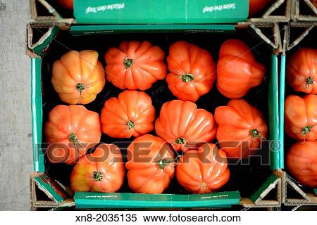 Liguria tomatoes View Large Photo Image Stock Photography - Liguria tomatoes. Fotosearch