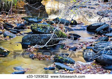 Stock Image - Lillas river in the Tejera Negra, Sierra Norte Natural Park, Guadalajara province, Castile-La Mancha, Spain. Fotosearch