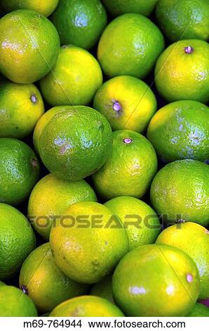 Limes for sale at market, Santanyi. Majorca, Balearic Islands, Spain View Large Photo Image Picture - Limes for sale at market, Santanyi. Majorca, Balearic Islands, Spain. Fotosearch