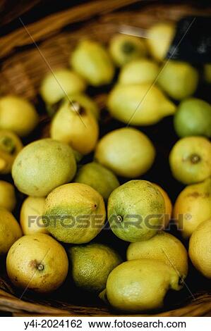 Limes. Market in Bordeaux. Gironde. Aquitaine. France. Europe. View Large Photo Image Stock Image - Limes. Market in Bordeaux. Gironde. Aquitaine. France. Europe.. Fotosearch