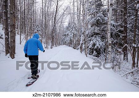 Lincoln Woods Trail in Lincoln, New Hampshire USA during the winter months. This trail follows the old East Branch & Lincoln Railroad bed. View Large Photo Image Stock Photograph - Lincoln Woods Trail in Lincoln, New Hampshire USA during the winter months. This trail follows the old East Branch & Lincoln Railroad bed.. Fotosearch