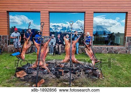 Lindblad guest at lamb roasting BBQ int Torres del Paine National Park, Patagonia, Chile View Large Photo Image Stock Photograph - Lindblad guest at lamb roasting BBQ int Torres del Paine National Park, Patagonia, Chile. Fotosearch
