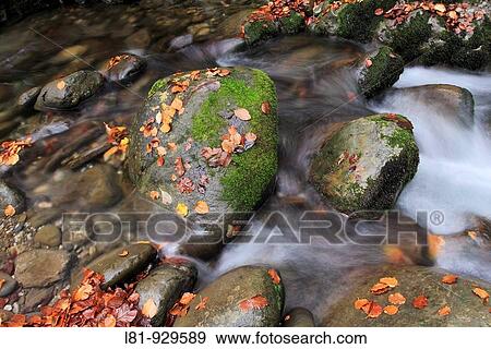 Lindes river in autumn. Quir? s. Asturias. Spain View Large Photo Image Stock Photo - Lindes river in autumn. Quir? s. Asturias. Spain. Fotosearch