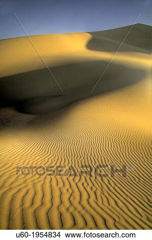 Picture - Lines of various shapes and sizes form in the sand at Eureka Dunes at Death Valley National Park.. Fotosearch