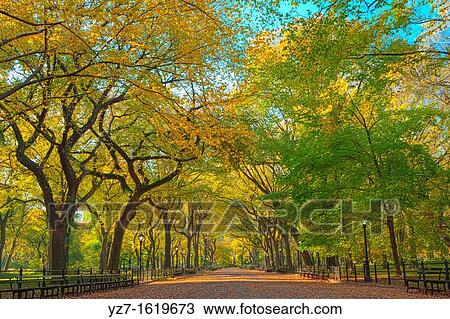 Literary Walk in Autumn colors, Central Park View Large Photo Image Stock Image - Literary Walk in Autumn colors, Central Park. Fotosearch