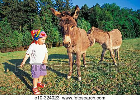 Little boy with two donkeys View Large Photo Image Stock Image - Little boy with two donkeys. Fotosearch