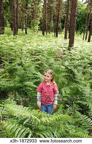 little girl among fern, Forest of Rambouillet, Yvelines department, Ile-de-France region, France, Europe View Large Photo Image Stock Image - little girl among fern, Forest of Rambouillet, Yvelines department, Ile-de-France region, France, Europe. Fotosearch