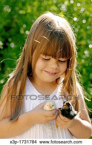 Little girl and chicks View Large Photo Image Picture - Little girl and chicks. Fotosearch