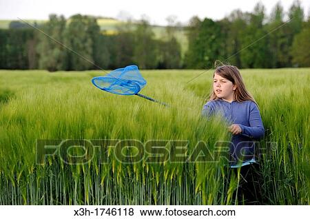 Stock Photo - little girl catching butterfly in a barley field, commune of Senantes, Eure-et-Loire department, Centre region, France, Europe. Fotosearch