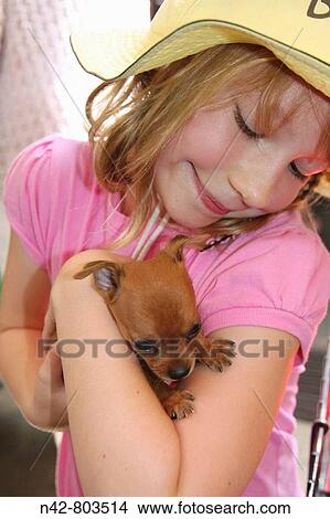 Little girl cuddling a Chihuahua puppy View Large Photo Image Picture - Little girl cuddling a Chihuahua puppy. Fotosearch