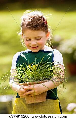 Little girl holding plant View Large Photo Image Stock Image - Little girl holding plant. Fotosearch