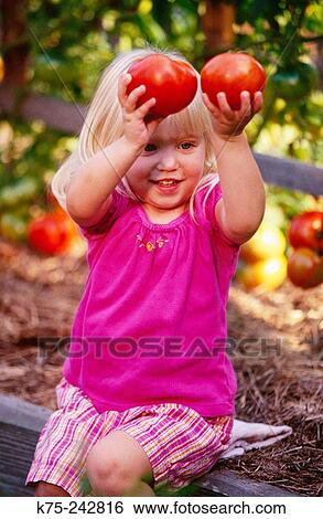little girl holding tomatoes View Large Photo Image Stock Photograph - little girl holding tomatoes. Fotosearch