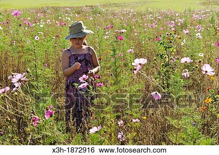 Stock Photograph - little girl in a fallow land in flower near the Forest of Rambouillet, Yvelines department, Ile-de-France region, France, Europe. Fotosearch