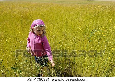 little girl in a flax field around Etretat, Cote d? Albatre, Pays de Caux, Seine-Maritime department, Upper Normandy region, France, Europe View Large Photo Image Stock Image - little girl in a flax field around Etretat, Cote d? Albatre, Pays de Caux, Seine-Maritime department, Upper Normandy region, France, Europe. Fotosearch