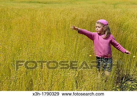 little girl in a flax field around Etretat, Cote d? Albatre, Pays de Caux, Seine-Maritime department, Upper Normandy region, France, Europe View Large Photo Image Stock Photo - little girl in a flax field around Etretat, Cote d? Albatre, Pays de Caux, Seine-Maritime department, Upper Normandy region, France, Europe. Fotosearch