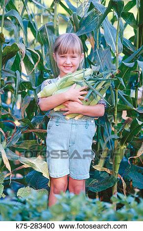little girl in corn field View Large Photo Image Stock Image - little girl in corn field. Fotosearch