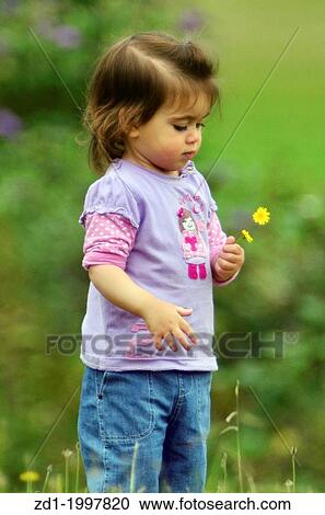 Stock Image - Little girl on the meadow looking at yellow flowers in the nature.. Fotosearch