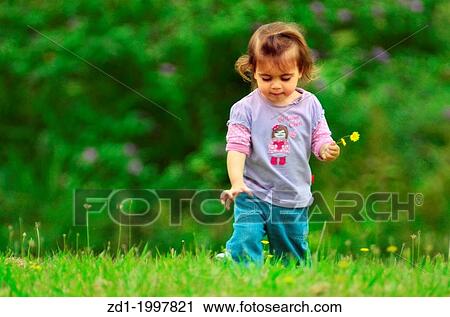 Little girl on the meadow looking at yellow flowers in the nature. View Large Photo Image Stock Image - Little girl on the meadow looking at yellow flowers in the nature.. Fotosearch