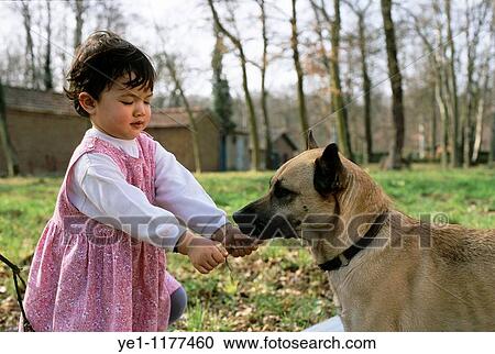 Little girl playing with a dog outside. View Large Photo Image Stock Image - Little girl playing with a dog outside.. Fotosearch